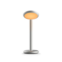 Grau PARROT TABLE Leuchte - PAD1-60 - Silver